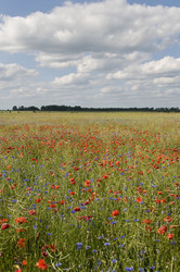 Similar image 872430