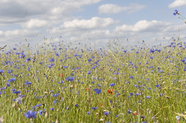 Similar image 872433