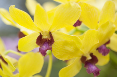 Similar image 872454