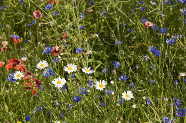 Similar image 872463