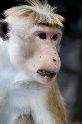 Similar image 872480