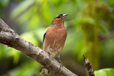 Similar image 872497