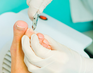 Similar image 872512