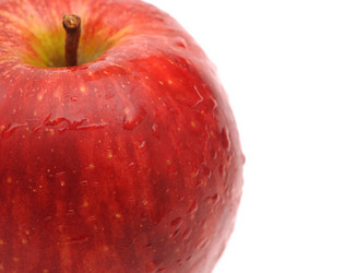 Similar image 872604