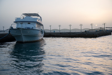 Similar image 872630