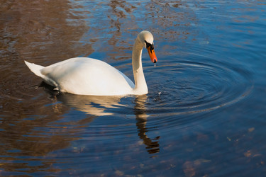 Similar image 872652