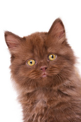 Similar image 872656