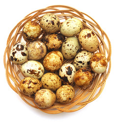 Similar image 872662