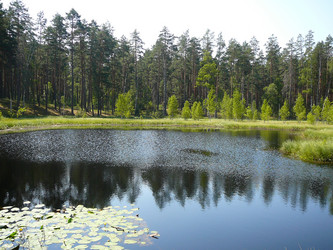 Similar image 872679