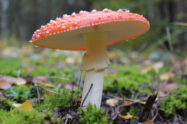 Similar image 872684