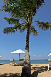 Similar image 872700