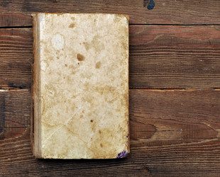 Similar image 872765