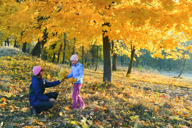 Similar image 872787