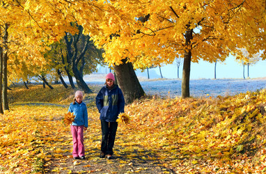 Similar image 872793