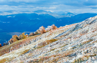 Similar image 872802