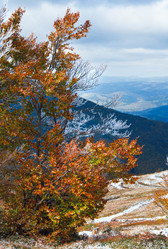 Similar image 872815