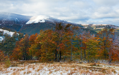 Similar image 872822