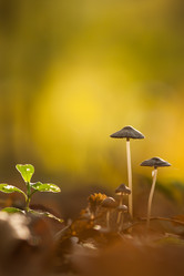 Similar image 872914