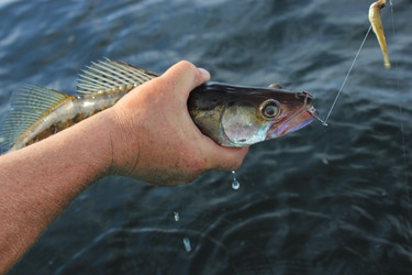 Similar image 873025