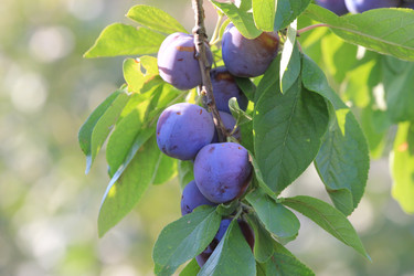 Similar image 873028