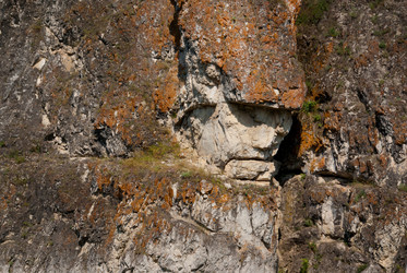 Similar image 873215