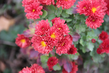 Similar image 873253