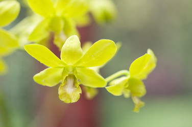 Similar image 873263