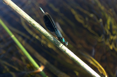 Similar image 873360