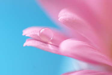 Similar image 873470