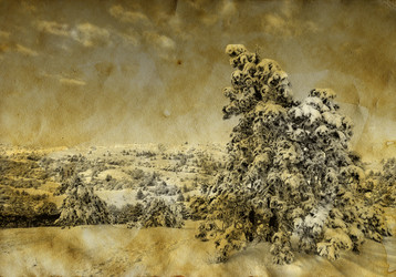 Similar image 873473