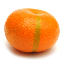 Similar image 873560