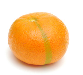 Similar image 873561