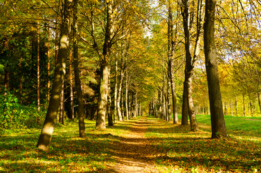 Similar image 873594