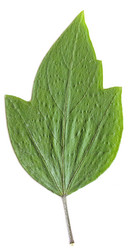 Similar image 873603