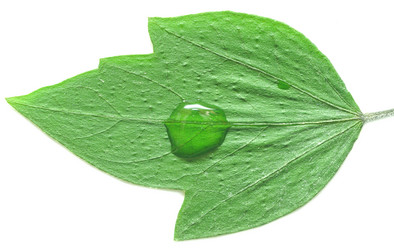 Similar image 873609