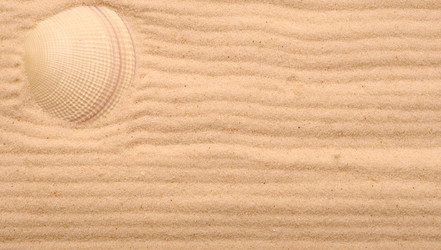 Similar image 873835