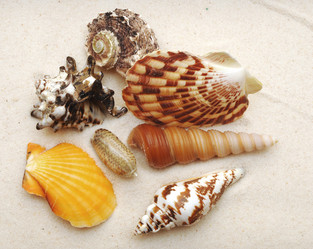 Similar image 873862