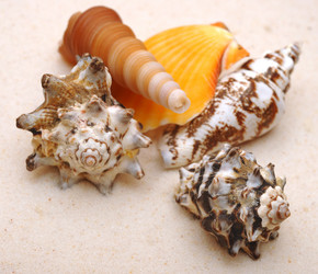 Similar image 873864