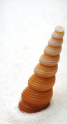 Similar image 873870