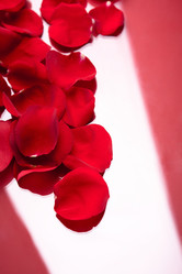 Similar image 874255