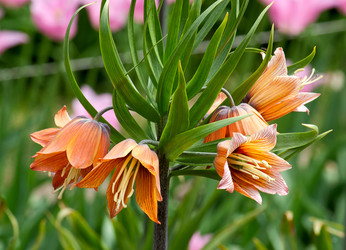 Similar image 874426