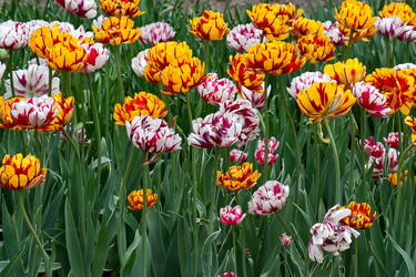 Similar image 874427