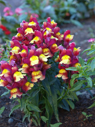 Similar image 874435