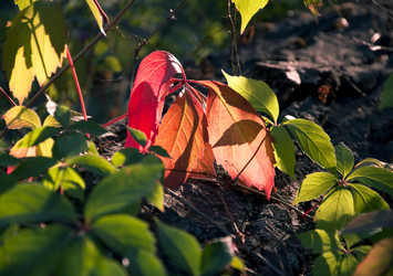 Similar image 874465