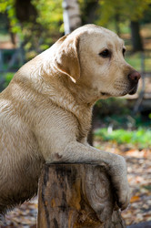 Similar image 874479