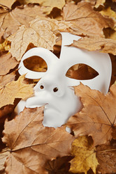 Similar image 874611