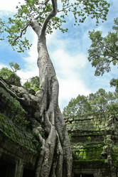 Similar image 875105