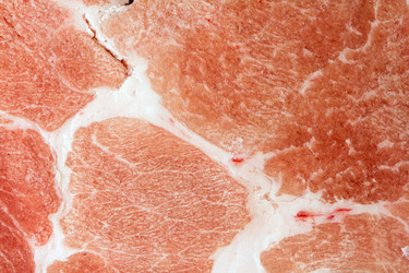 Similar image 875221