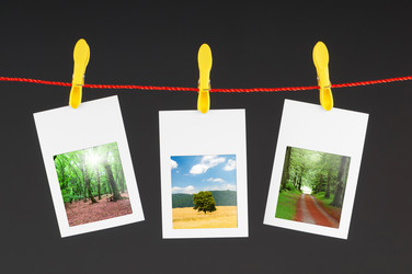 Similar image 875248