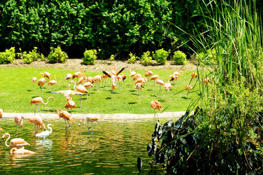 Similar image 875258